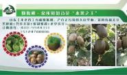 山东不老谷健康服务有限公司